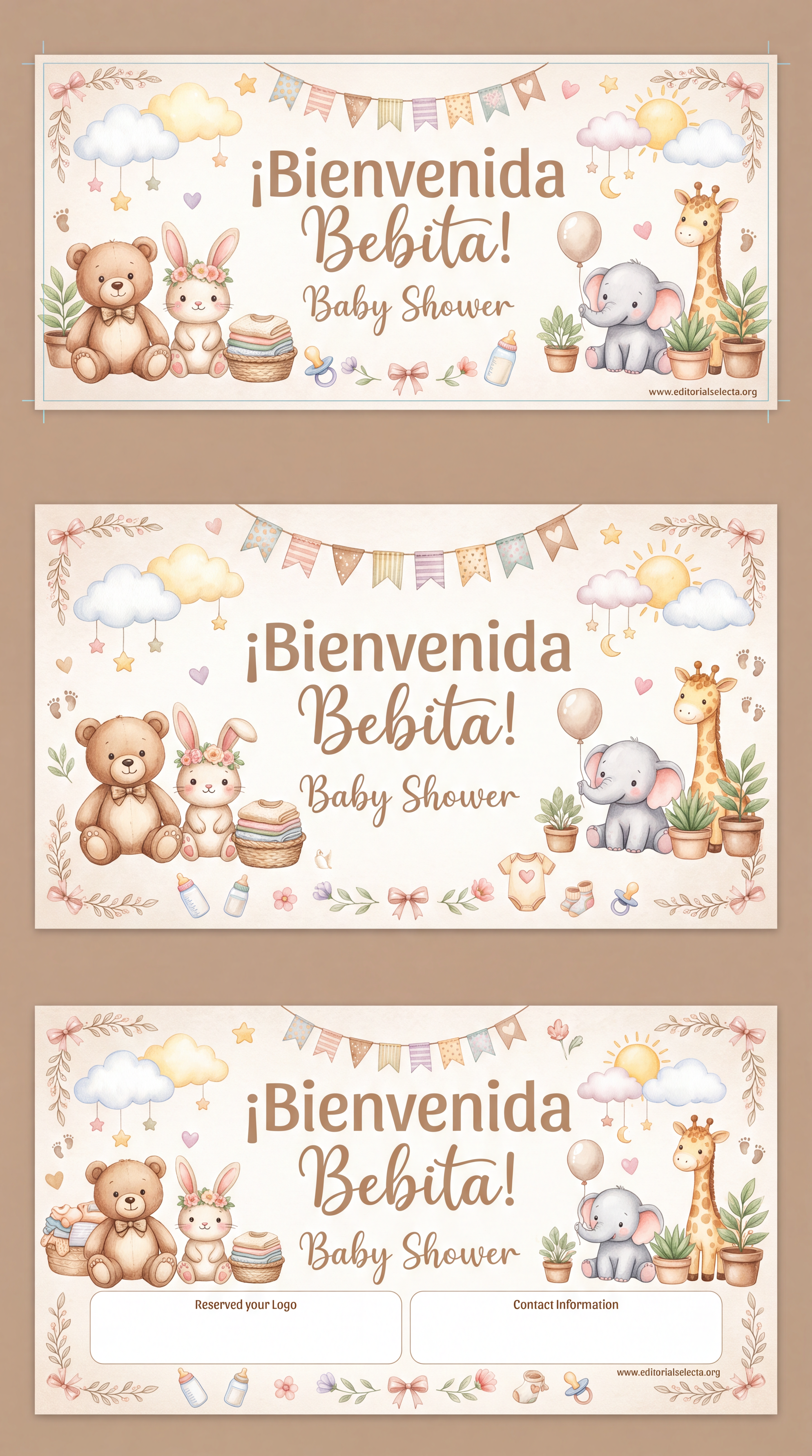 Banner Vinyl · Baby Shower 3' x 8'