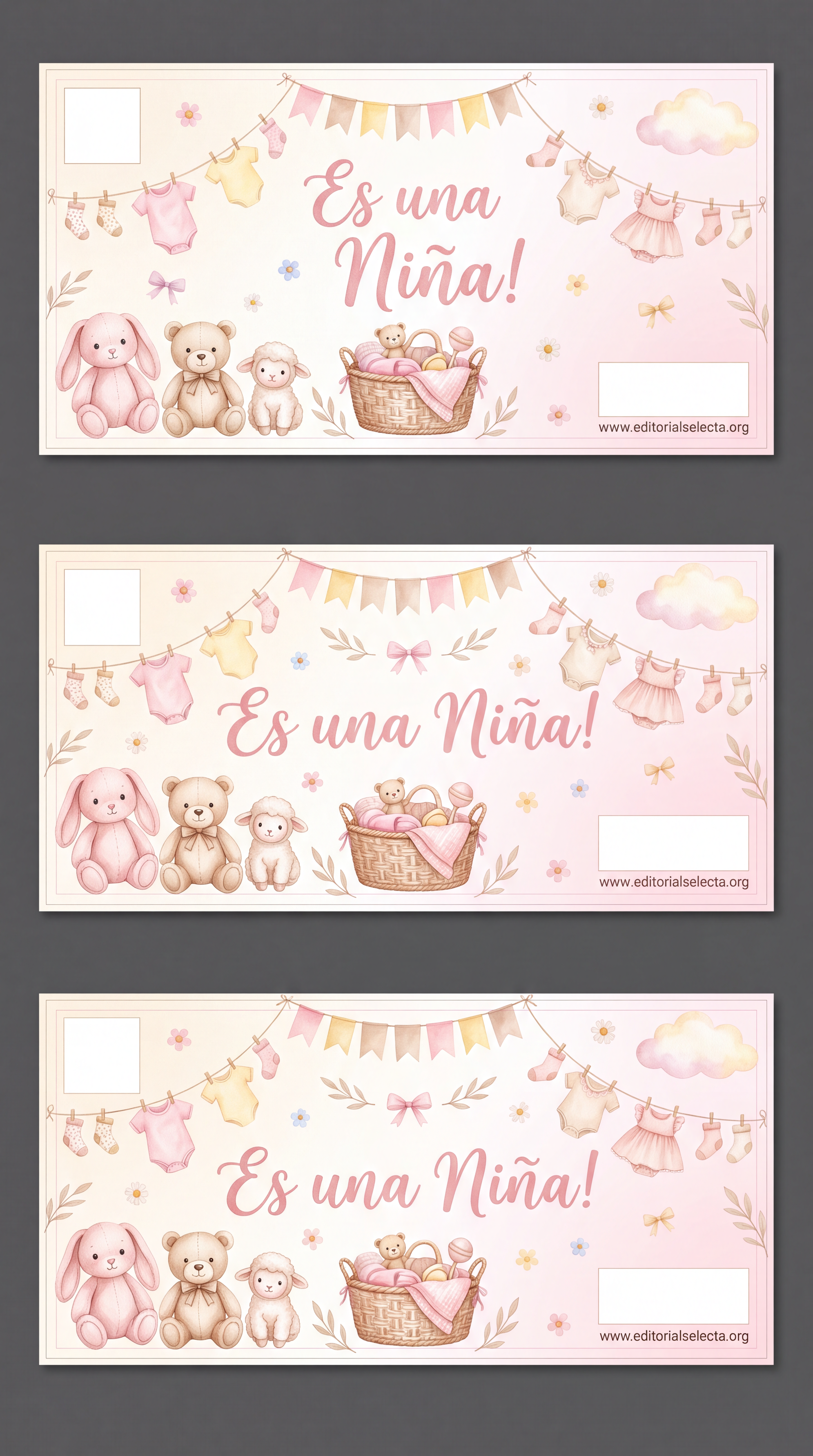Banner Vinyl · Baby Shower 2' x 6'