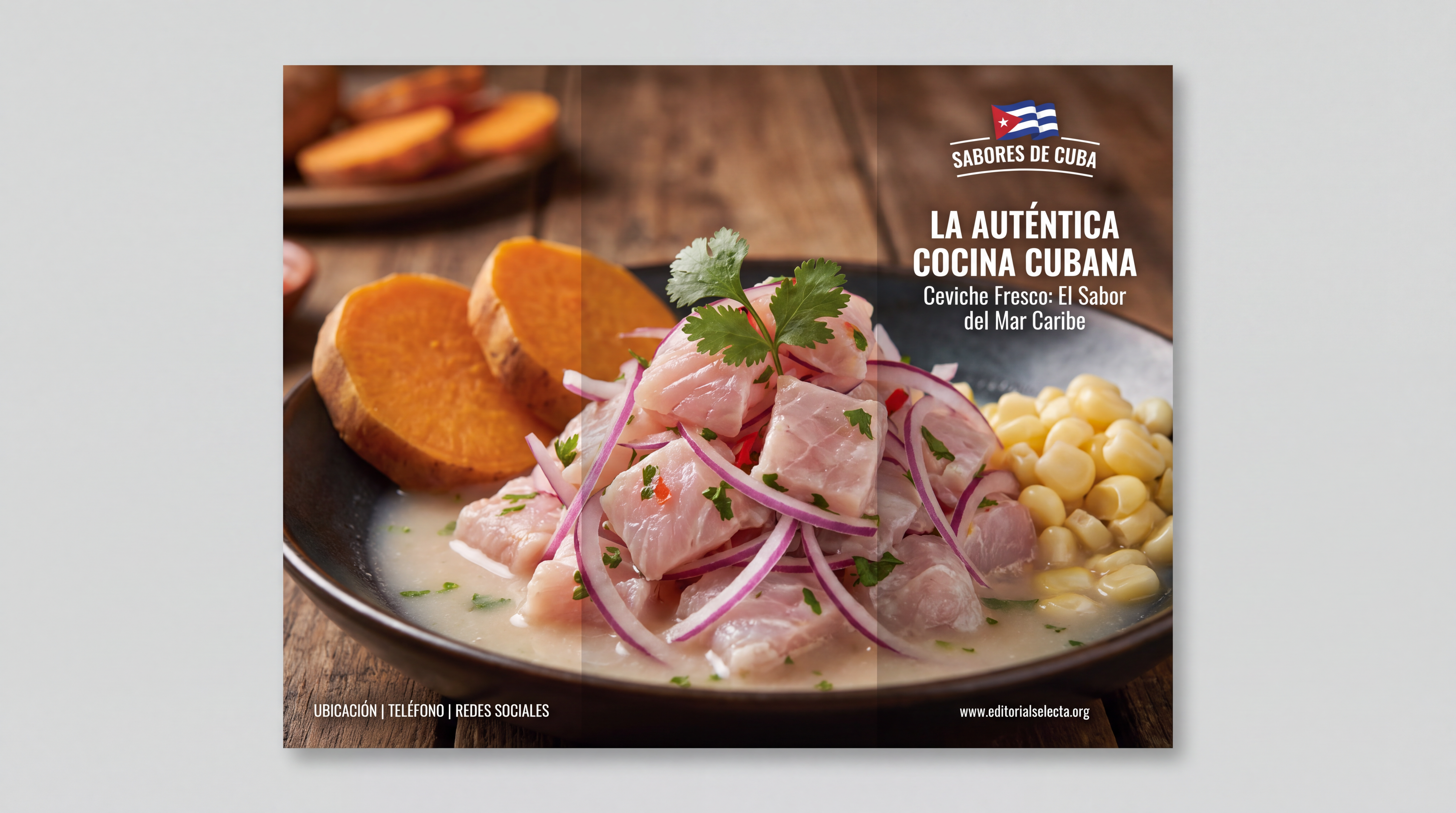 Brochure Tríptico · Cuba (Reverso) 2